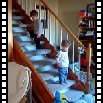 Daredevils Already