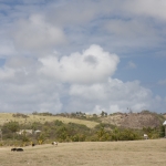 20080415-IMG_6731.jpg