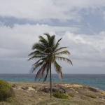20080415-IMG_6766.jpg
