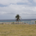 20080415-IMG_6761.jpg