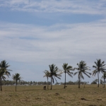 Barbados 2008