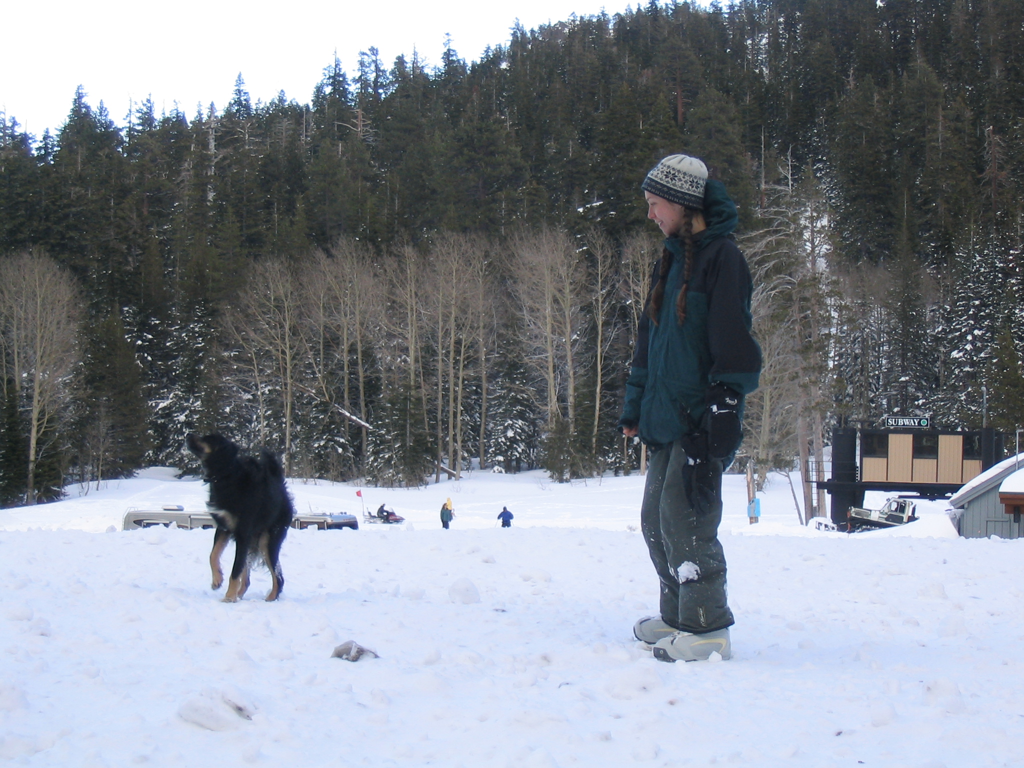 Snow_007