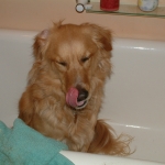Bathtime! (02/04)