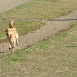 DSCF0008