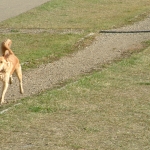 DSCF0009