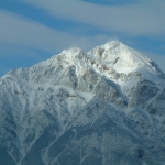 Jasper (01/04)