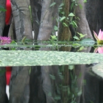 Holly_s_Parents_026