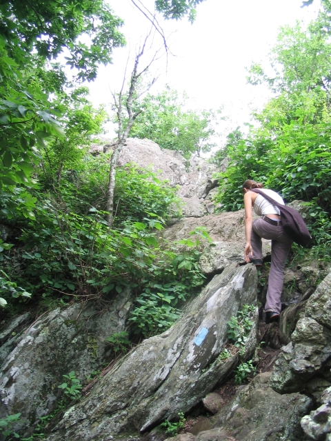 shenandoah_002