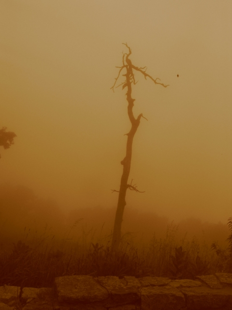 shenandoah_045