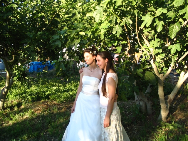Ave_Kent_s_Wedding_108