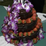 Holly_0342