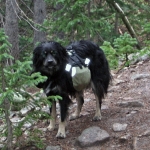 Waterdog_Lake_017