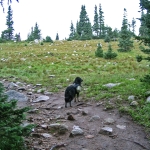 Waterdog_Lake_060