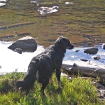 Waterdog_Lake_066