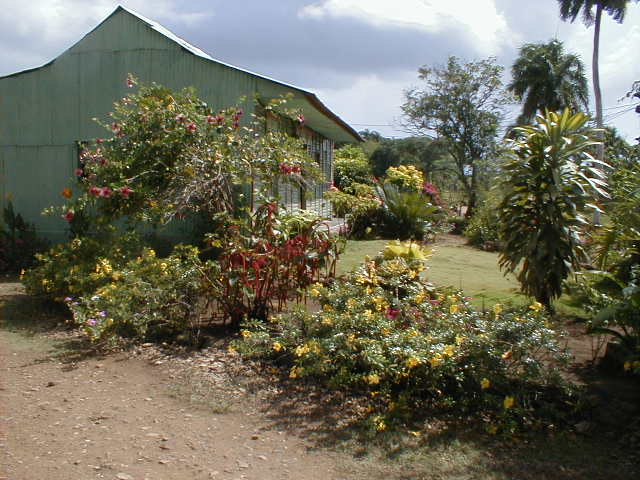 P1010040
